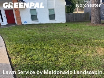 Lawn Care nearby Houston, TX, 