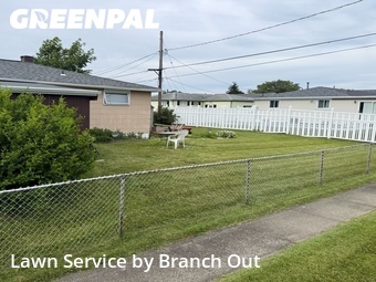 Grass Cut nearby Buffalo, NY, 