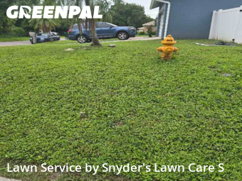 Lawn Mowing nearby Lakeland, FL, 