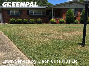 Lawn Mow nearby Smyrna, GA, 