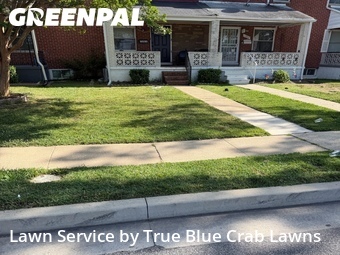 Lawn Maintenance nearby Essex, MD, 