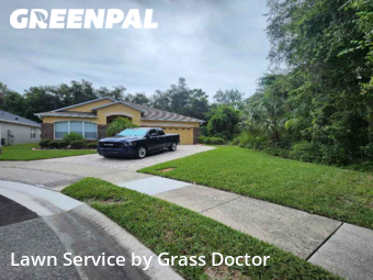 Grass Cut nearby Orlando, FL, 