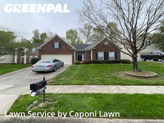 Grass Cutting nearby Charlotte, NC, 