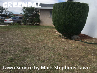 Grass Cut nearby Gardena, CA, 