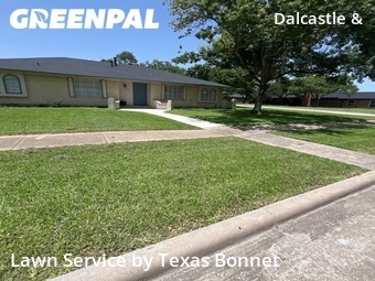 Lawn Cut nearby Garland, TX, 