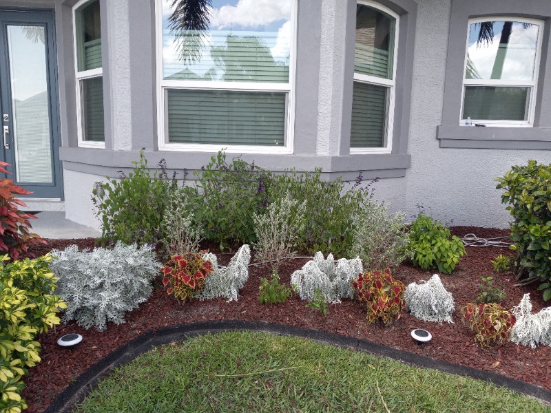 Affordable Home Pros Lawn Care Services in Venice, FL