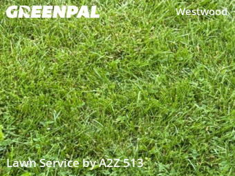 Lawn Care Service nearby Cincinnati, OH, 