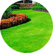 cheap-lawn-cutting-businesses-in-Temple-TX