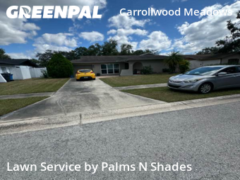 Lawn Cutting nearby Tampa, FL, 