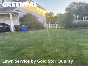 Garden Trimming in Milford, 6461, Weed Trimming by Gold Star Quality , work completed in Nov , 2025