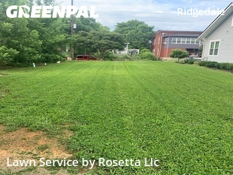 Lawn Care nearby Chattanooga, TN, 