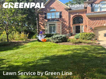 Lawn Care nearby Naperville, IL, 
