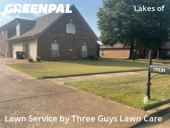 Lawn Services in Collierville, 38017, Turf Services by Three Guys Lawn Care, work completed in Nov , 2025