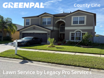 Yard Cutting nearby Tampa, FL, 