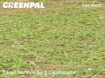 Lawn Maintenance nearby San Antonio, TX, 