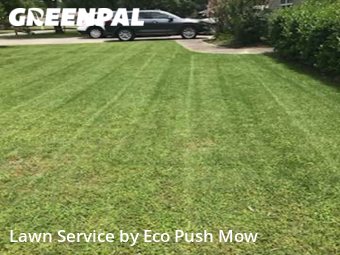 Grass Cut nearby Chattanooga, GA, 