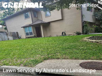 Grass Cutin The Woodlands,77382,Lawn Mow by Alvarado's Landscape, work completed in Dec , 2025