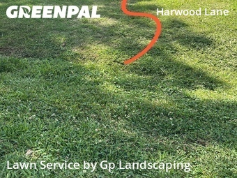Lawn Care nearby Charlotte, NC, 