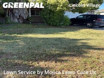 Lawn Maintenance nearby Sacramento, CA, 