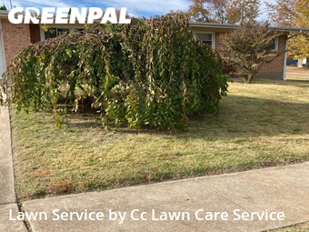 Yard Cutting nearby Overland, MO, 