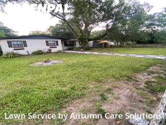 Lawn Cutting nearby Tampa, FL, 