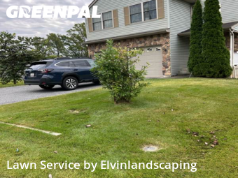 Turf Services in Parkville, 21234, Lawn Work by Elvinlandscaping, work completed in Oct , 2025