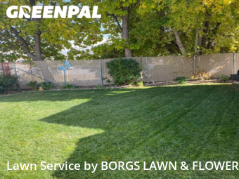 Yard Cutting nearby Layton, UT, 