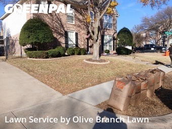 Grass Cutin Keller,76248,Yard Cutting by Olive Branch Lawn, work completed in Feb , 2026