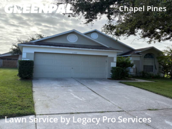 Lawn Care Service nearby Wesley Chapel, FL, 