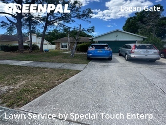 Lawn mowed in Citrus Park, 33625