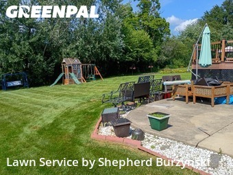 Grass Care in Westmont, 60559, Yard Mowing by Shepherd Burzynski , work completed in Dec , 2025