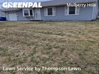 Grass Cut nearby Olathe, KS, 