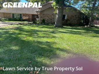 Grass Cutting nearby Greenwood, IN, 