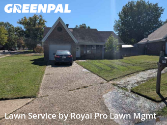 Lawn Cutting in Olive Branch, 38654, Lawn Mowing by Royal Pro Lawn Mgmt, work completed in Nov , 2025