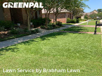 Lawn Care Service nearby Baton Rouge, LA, 