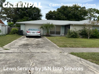 Grass Cut nearby Tampa, FL, 