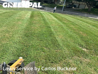 Lawn Care nearby Independence, MO, 