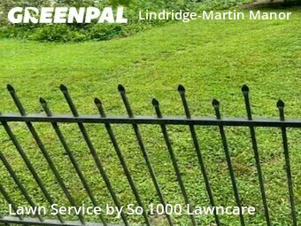 Yard Cutting nearby Atlanta, GA, 