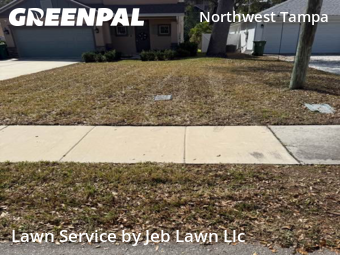 Lawn Service nearby Tampa, FL, 