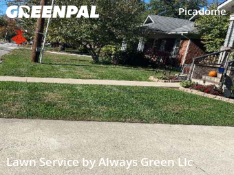 Grass Cut nearby Lexington, KY, 