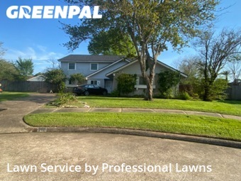 Yard Mowing nearby League City, TX, 