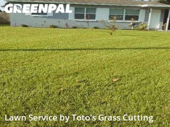 Grass Cut nearby Orlando, FL, 