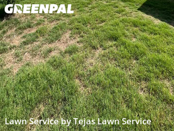 Lawn Care nearby Austin, TX, 