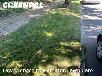 Grass Cut nearby Noblesville, IN, 