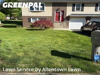 Grass Cut nearby Whitehall Township, PA, 
