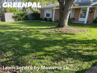 Lawn Mow nearby Louisville, KY, 