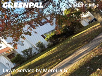 Lawn Mowing in Columbia, 21045, Lawn Management by Moreira G, work completed in Nov , 2025