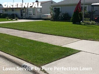 Yard Services in Wyandotte, 48192, Lawn Upkeep by Pure Perfection Lawn, work completed in Nov , 2025