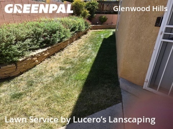 Lawn mowed in Albuquerque, 87111