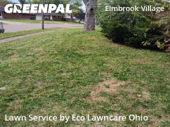 Lawn Mowing in Reynoldsburg, 43068, Yard Upkeep by Eco Lawncare Ohio, work completed in Nov , 2025